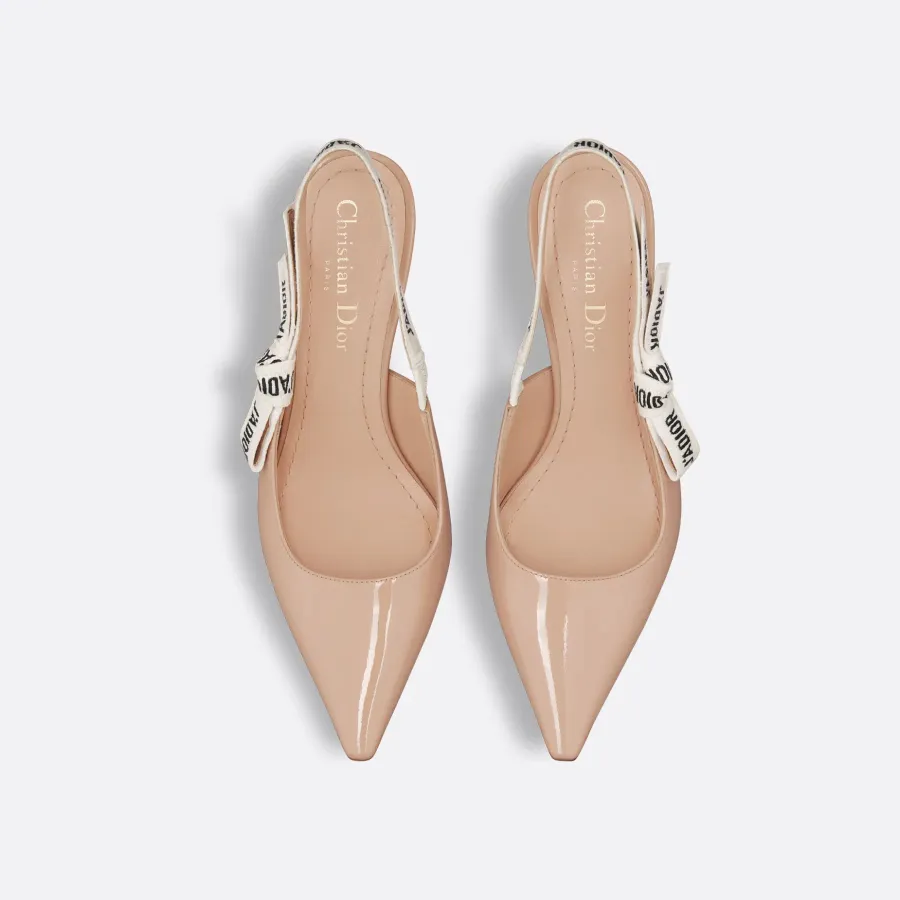 Dior stiletto heels with pointed toes high heels shoes