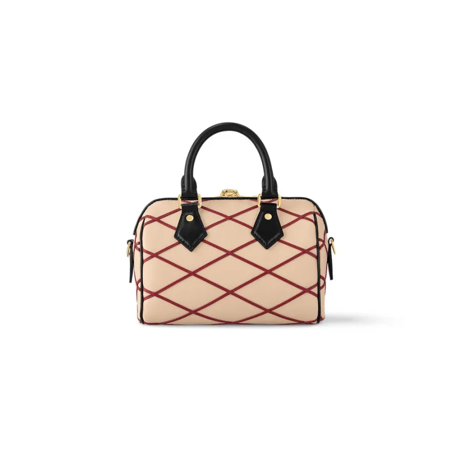 Louis Vuitton Bags Speedy
