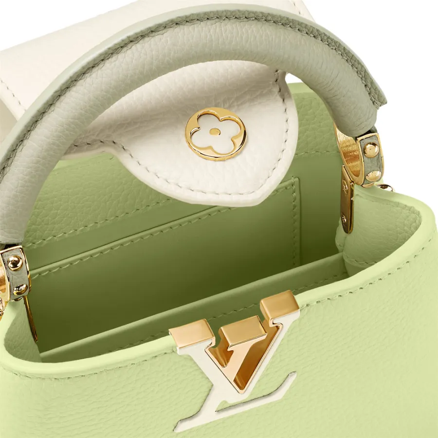 Louis Vuitton Bags Capucines