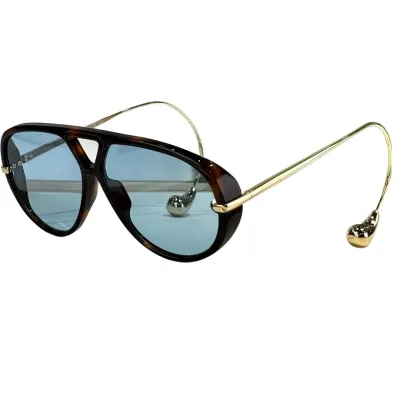 Bottega Veneta glasses black silver/black gold/transparent black/tawny/yellow/brown/yellow leopard/blue leopard color Size 63-12-145