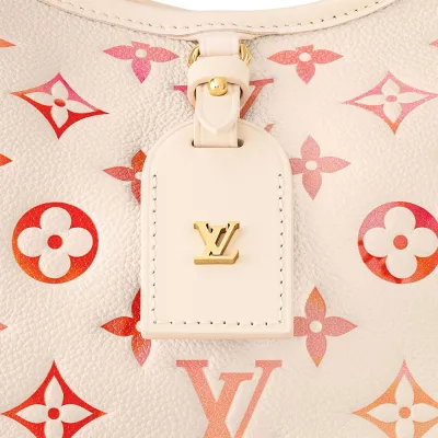 Louis Vuitton Bags Carryall