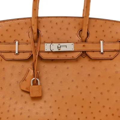 Hermès Birkin 30 Cognac Ostrich Leather Palladium Hardware
