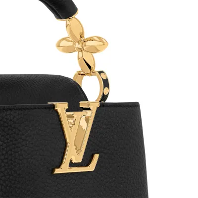 Louis Vuitton Bags Capucines