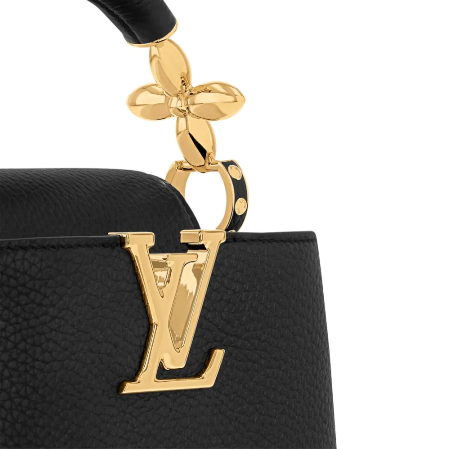 Louis Vuitton Bags Capucines