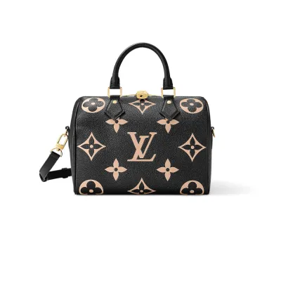 Louis Vuitton Bags Speedy