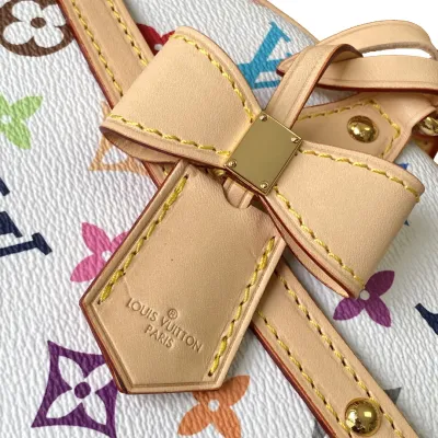 Louis Vuitton x Murakami Takashi Handbag East West Multicolor White Gold Hardware