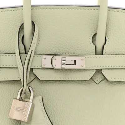 Hermès Birkin 25 Gris Neve Togo Leather Palladium Hardware