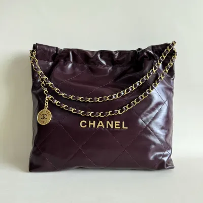 Chanel 22bags Wine Red / Mint green Shoulder Bags