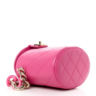 Chanel Elegant Chain Vanity Case Small Dark Pink Quilted Lambskin Leather & Resin Aged Gold Hardware
