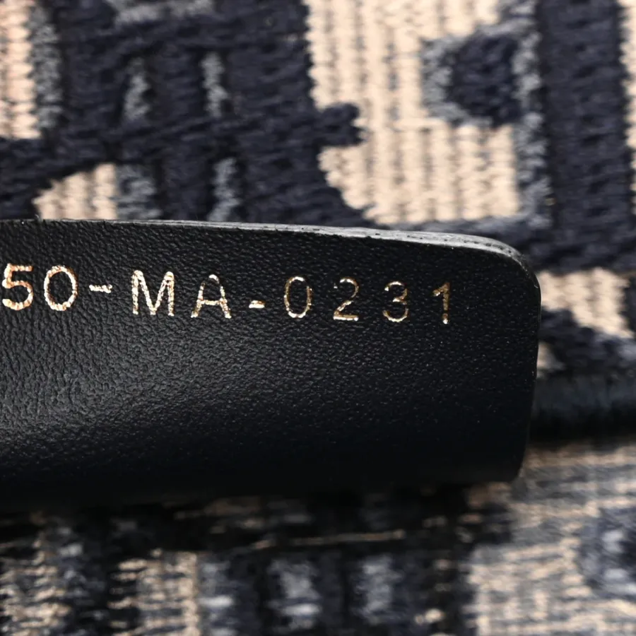 Dior Large Book Tote Blue Multicolor Oblique Canvas