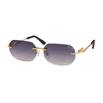 Cartier glasses blue pink/blue gold/blue silver/grey/grey orange/black/brown/purple gold/purple silver/green color Size 58口15-135