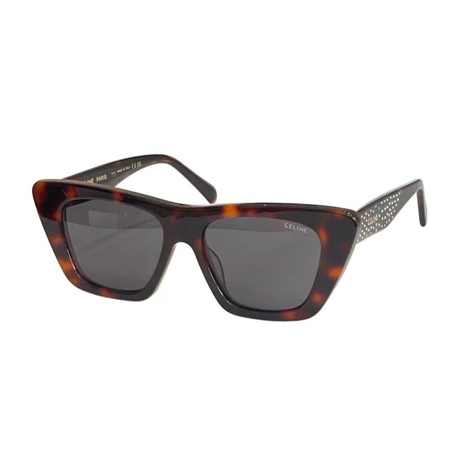 Celine Butterfly glasses brown/black/white/ivory/leopard/eggplant color Size 53口17-145