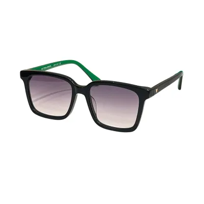 Bottega Veneta Wayfarer glasses brown leopard/black/black leopard/eggplant/grey/transparent black/black green color Size 54口18-145
