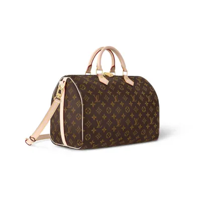 Louis Vuitton Bags Speedy