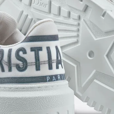 Dior sneakers