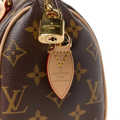 Louis Vuitton Speedy Bandouliere 20 Beige Monogram Canvas