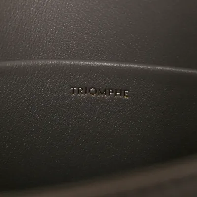 Celine Small Teen Triomphe Bag Pebble Shiny Calfskin Leather Gold Hardware