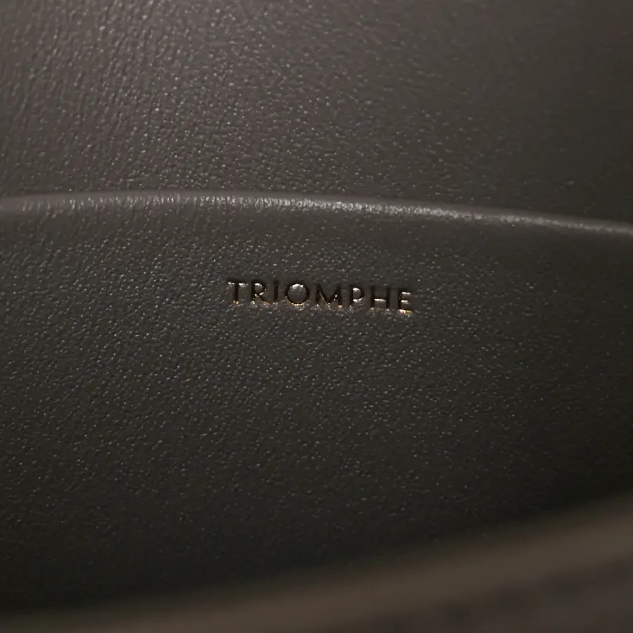 Celine Small Teen Triomphe Bag Pebble Shiny Calfskin Leather Gold Hardware