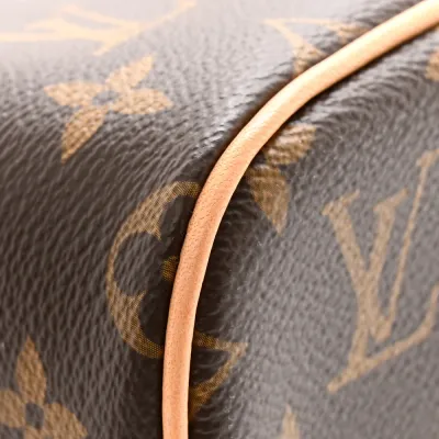 Louis Vuitton Nice BB Monogram Canvas Gold Hardware