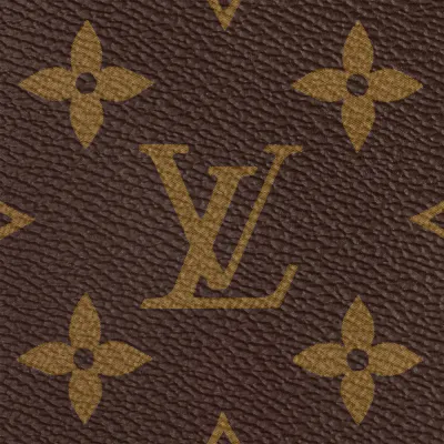 Louis Vuitton Bags Neverfull