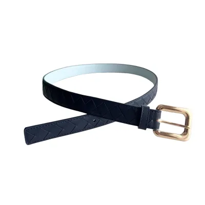 Bottega Veneta Women's Chain Link Belt In Blue/Black/Pink Calfskin With Gold/Silver Hardware 25mm