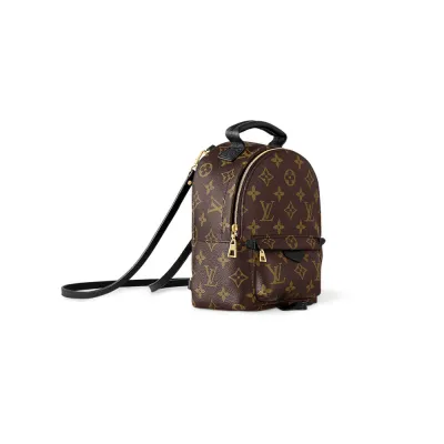 Louis Vuitton Bags Palm Springs