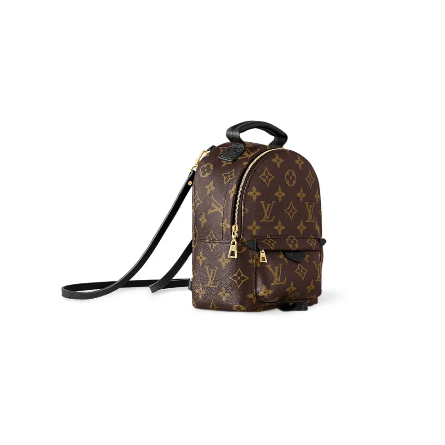 Louis Vuitton Bags Palm Springs