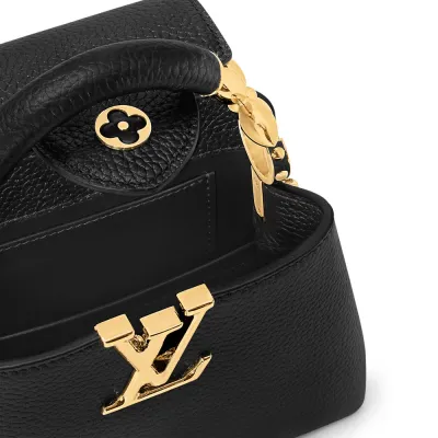 Louis Vuitton Bags Capucines
