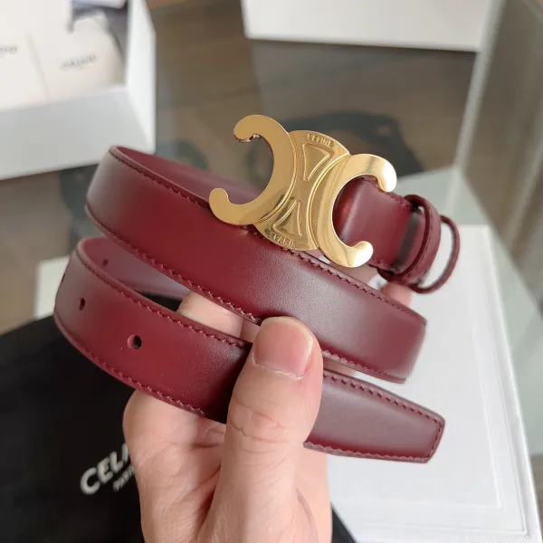 Celine Triomphe Buckle Revesible Belt In Burgundy/Red/Blue/Pink/White/Brown/Black Calfskin With Gold Hardware 25mm - Image 3