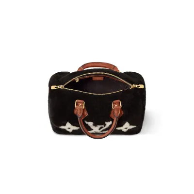 Louis Vuitton Bags Speedy
