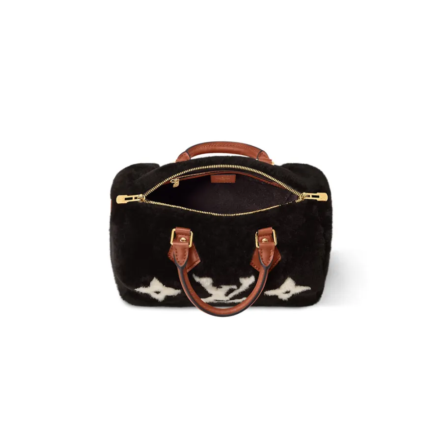 Louis Vuitton Bags Speedy