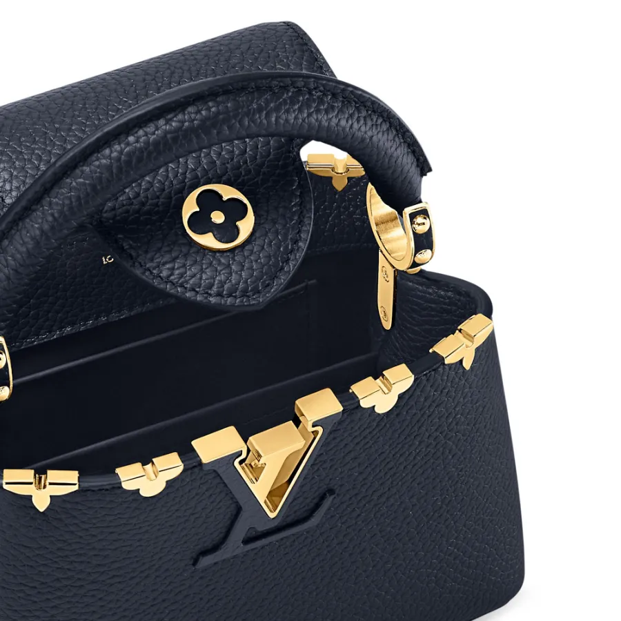Louis Vuitton Bags Capucines