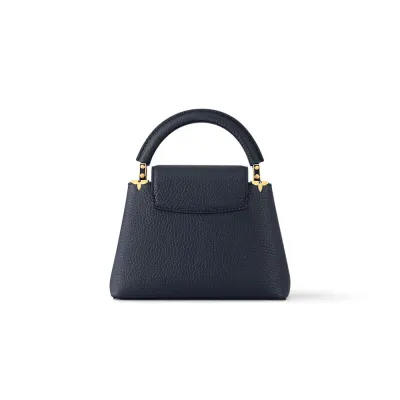 Louis Vuitton Bags Capucines