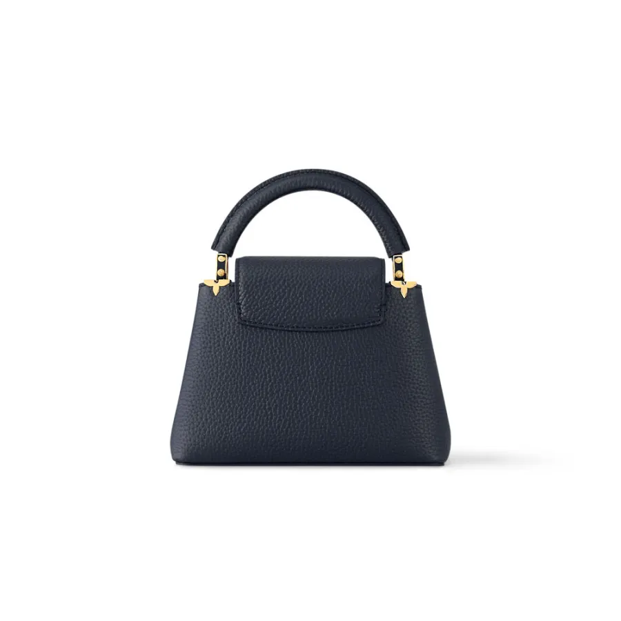 Louis Vuitton Bags Capucines