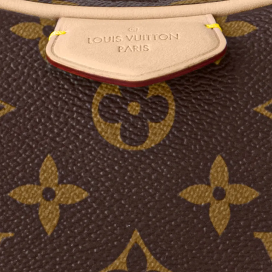 Louis Vuitton Bags Croissant