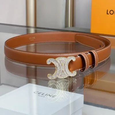 Celine Triomphe Buckle With Crystals Revesible Belt In Black/Brown Calfskin With Gold Hardware 25mm