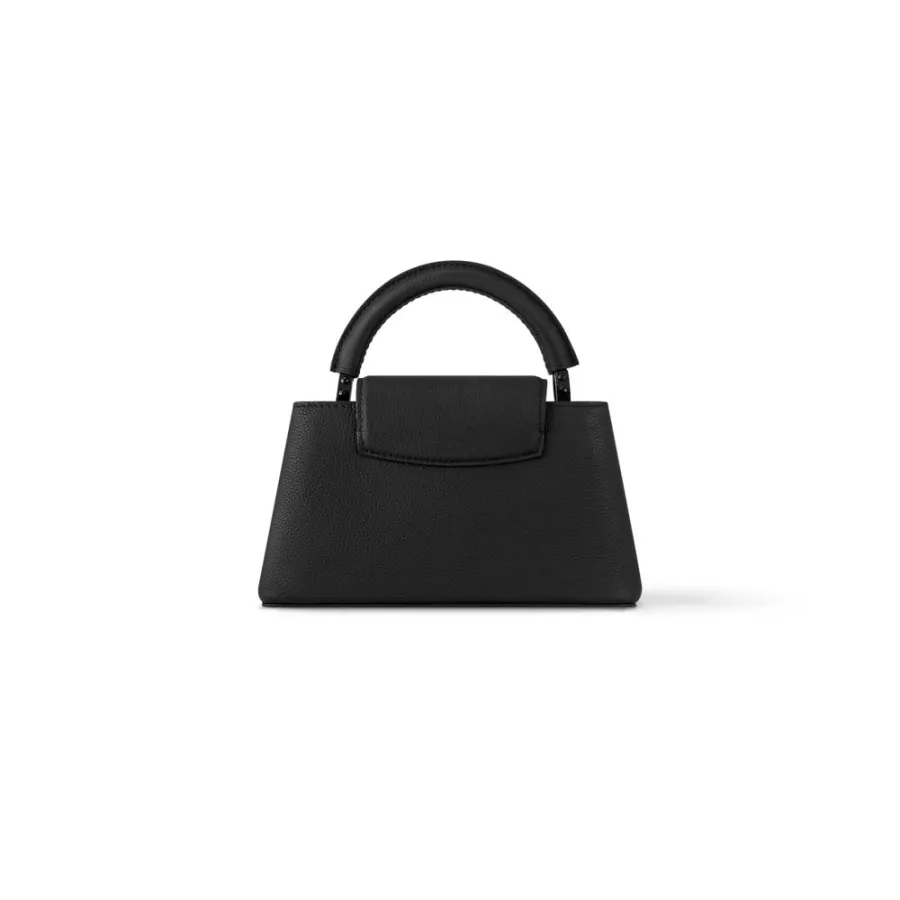 Louis Vuitton Bags Capucines