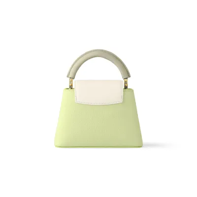 Louis Vuitton Bags Capucines
