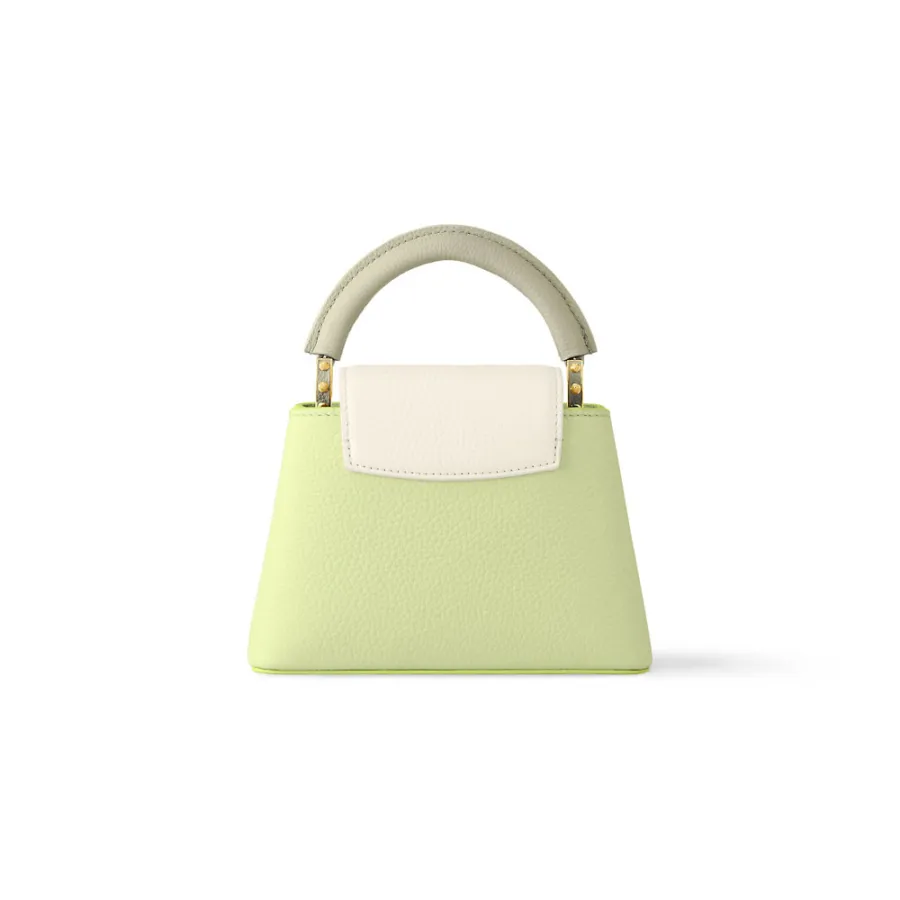 Louis Vuitton Bags Capucines