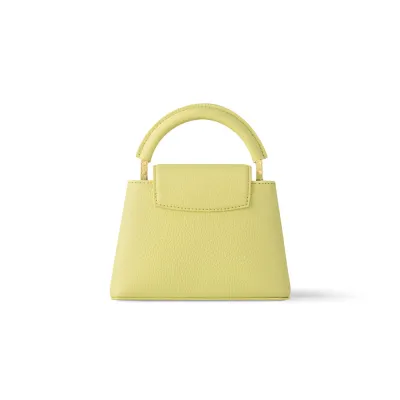 Louis Vuitton Bags Capucines