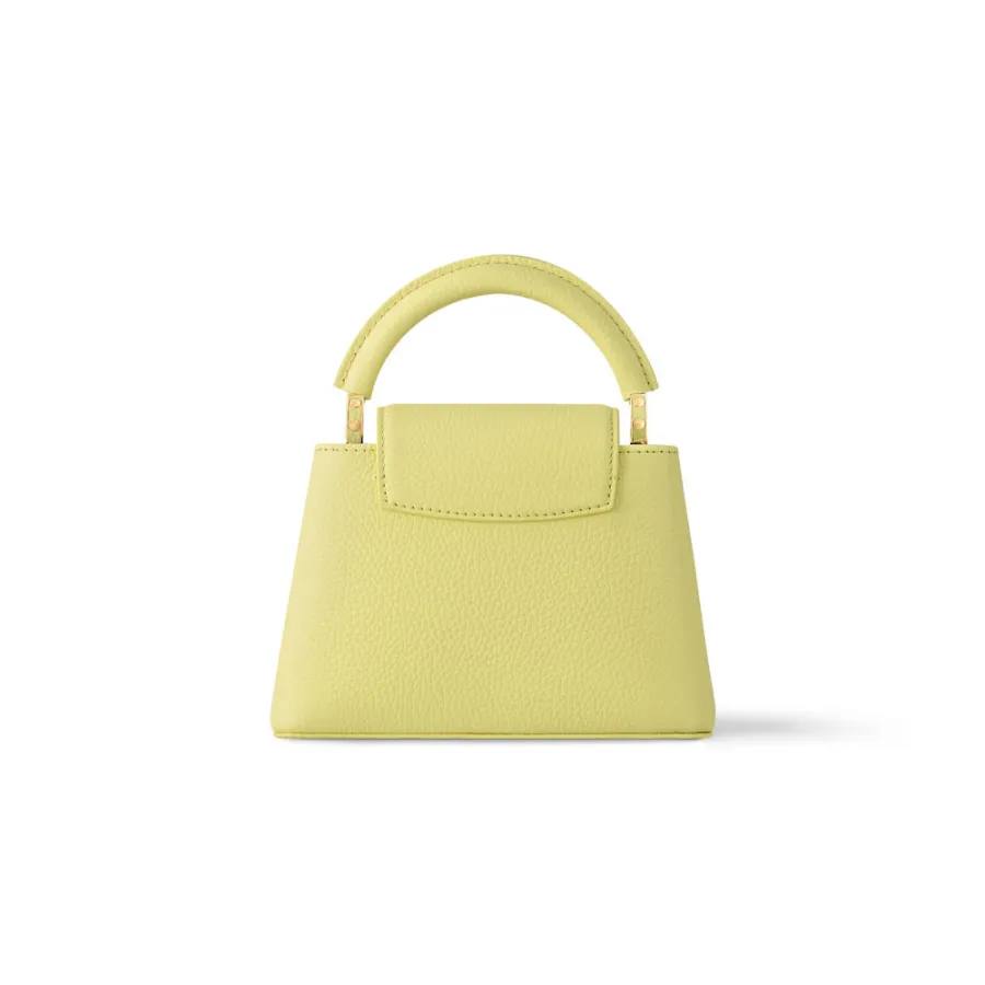 Louis Vuitton Bags Capucines