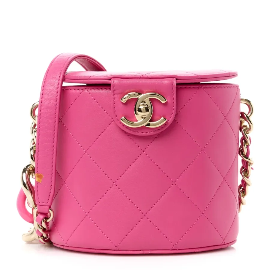 Chanel Elegant Chain Vanity Case Small Dark Pink Quilted Lambskin Leather & Resin Aged Gold Hardware