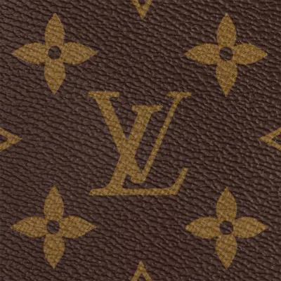 Louis Vuitton Bags Palm Springs
