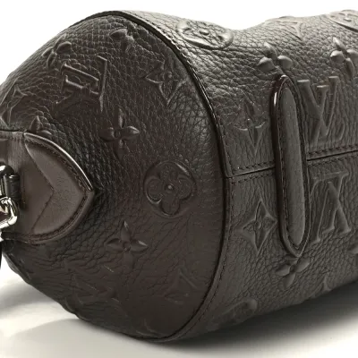 Louis Vuitton Neo Papillon PM Marron Monogram Canvas Revelation Silver Hardware