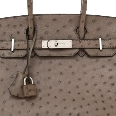 Hermès Birkin 30 Gris Tourterelle Ostrich Leather Palladium Hardware