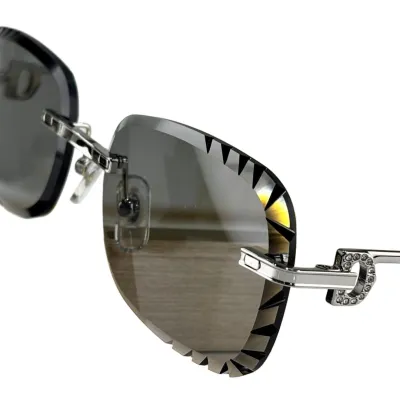 Cartier glasses black/grey/cedar/tawny/green color Size 59口18-145