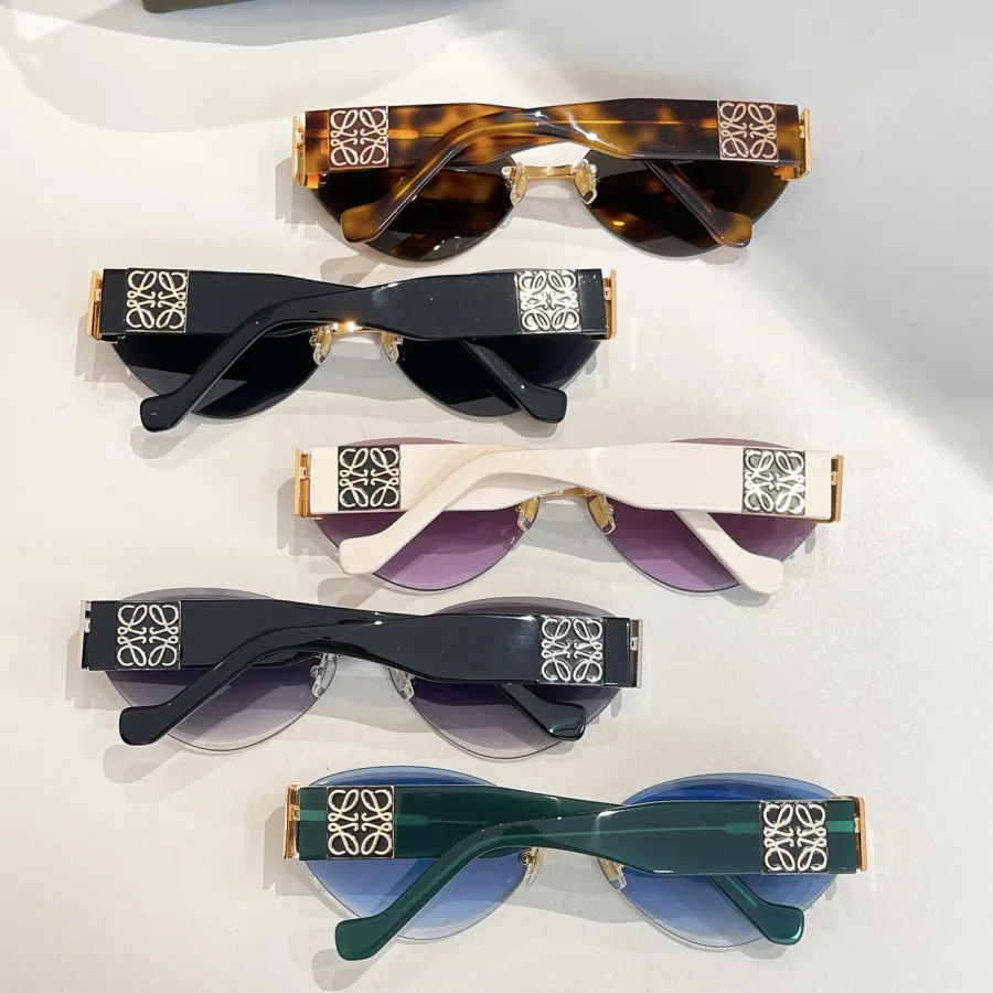Loewe glasses blue/black/eggplant/leopard brown/purple white color Size 65口15-140