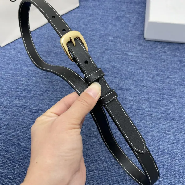 Celine Belt In Brown/Black Calfskin With Gold Hardware 20mm - Image 5