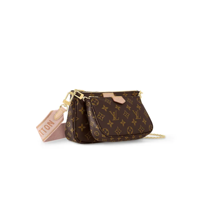 Louis Vuitton Bags Multi