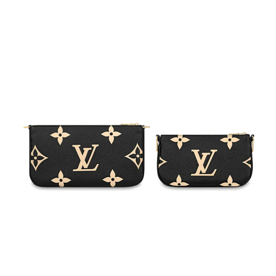 Louis Vuitton Bags Multi